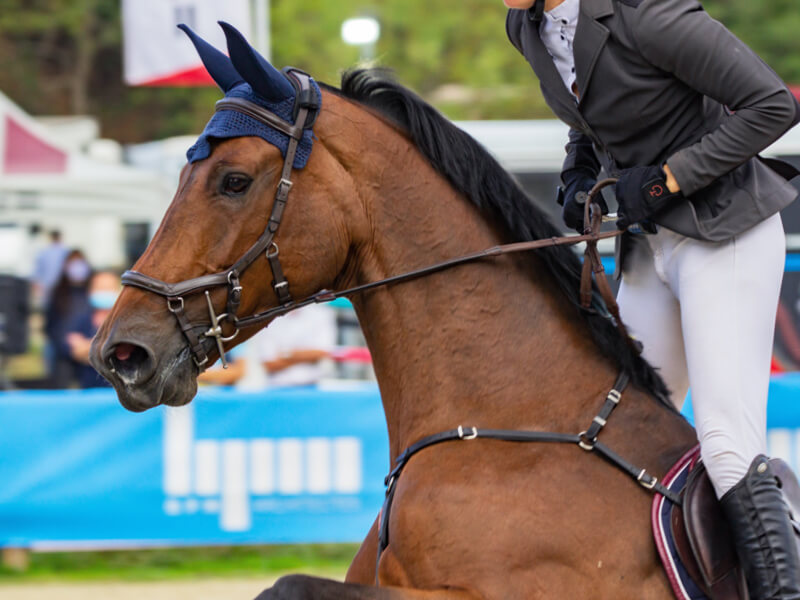 Noleggio allestimenti per eventi sportivi equitazione